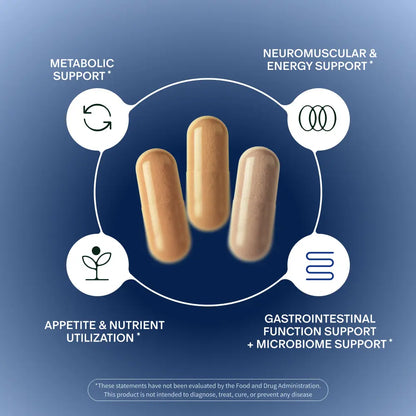 Metabolic Support Bundle - Gut Health + Berberine + Magnesium Complex - Supports Digestion, Energy & Daily Wellness - Probiotics & Essential Minerals - 3Rd Party Tested